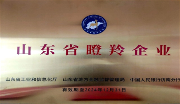 慶祝深藍(lán)機(jī)器榮獲山東省2021年度“瞪羚企業(yè)”榮譽(yù)稱號(hào) 慶祝深藍(lán)機(jī)器榮獲山東省2021年度“瞪羚企業(yè)”榮譽(yù)稱號(hào)